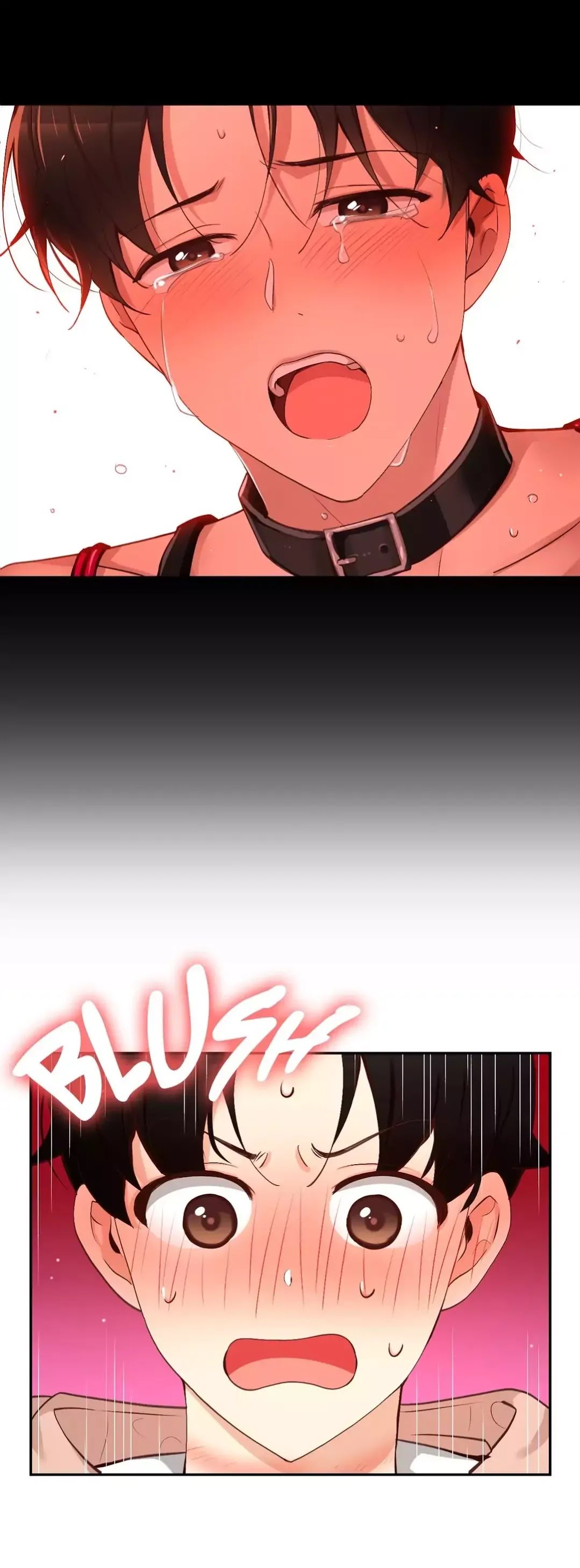 Page 17 of Chapter 66