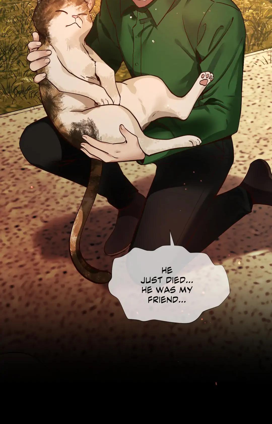 Page 36 of Chapter 81