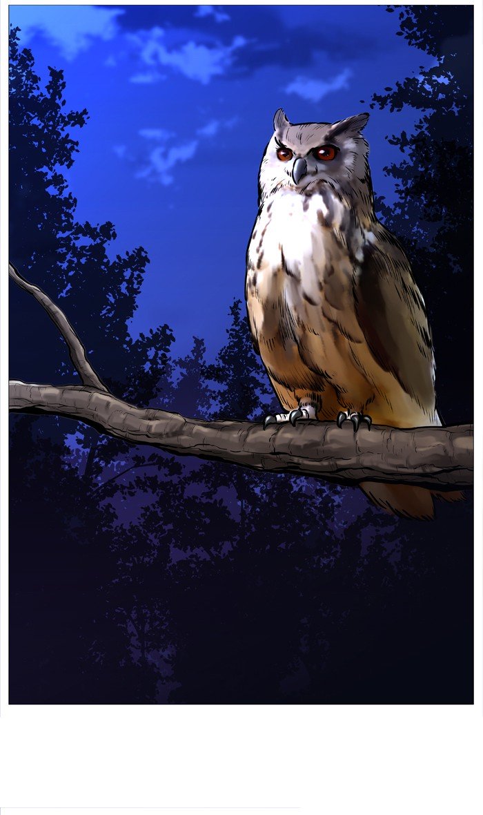Page 46 of Chapter 511