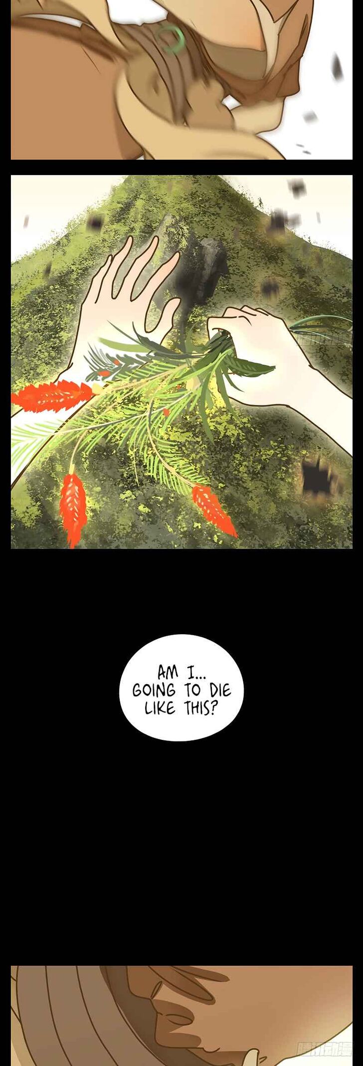 Page 11 of Chapter 17