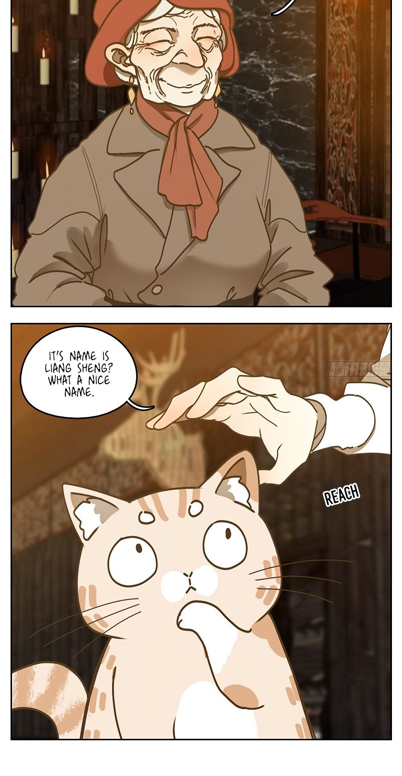 Page 5 of Chapter 37