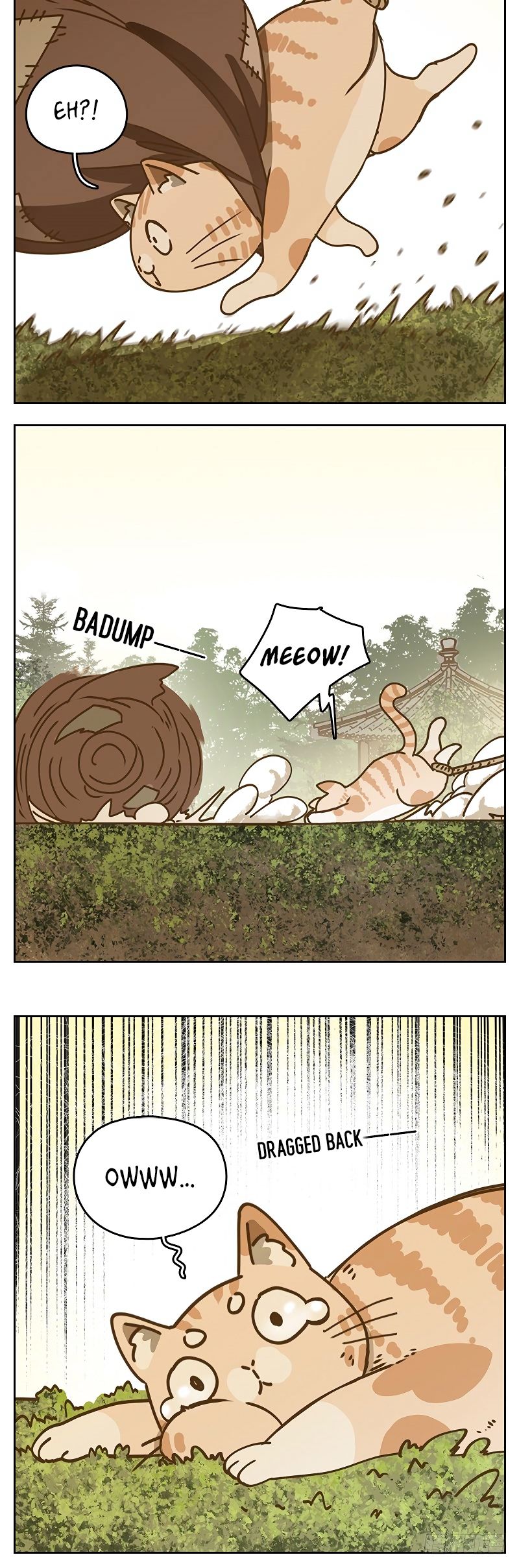 Page 8 of Chapter 39