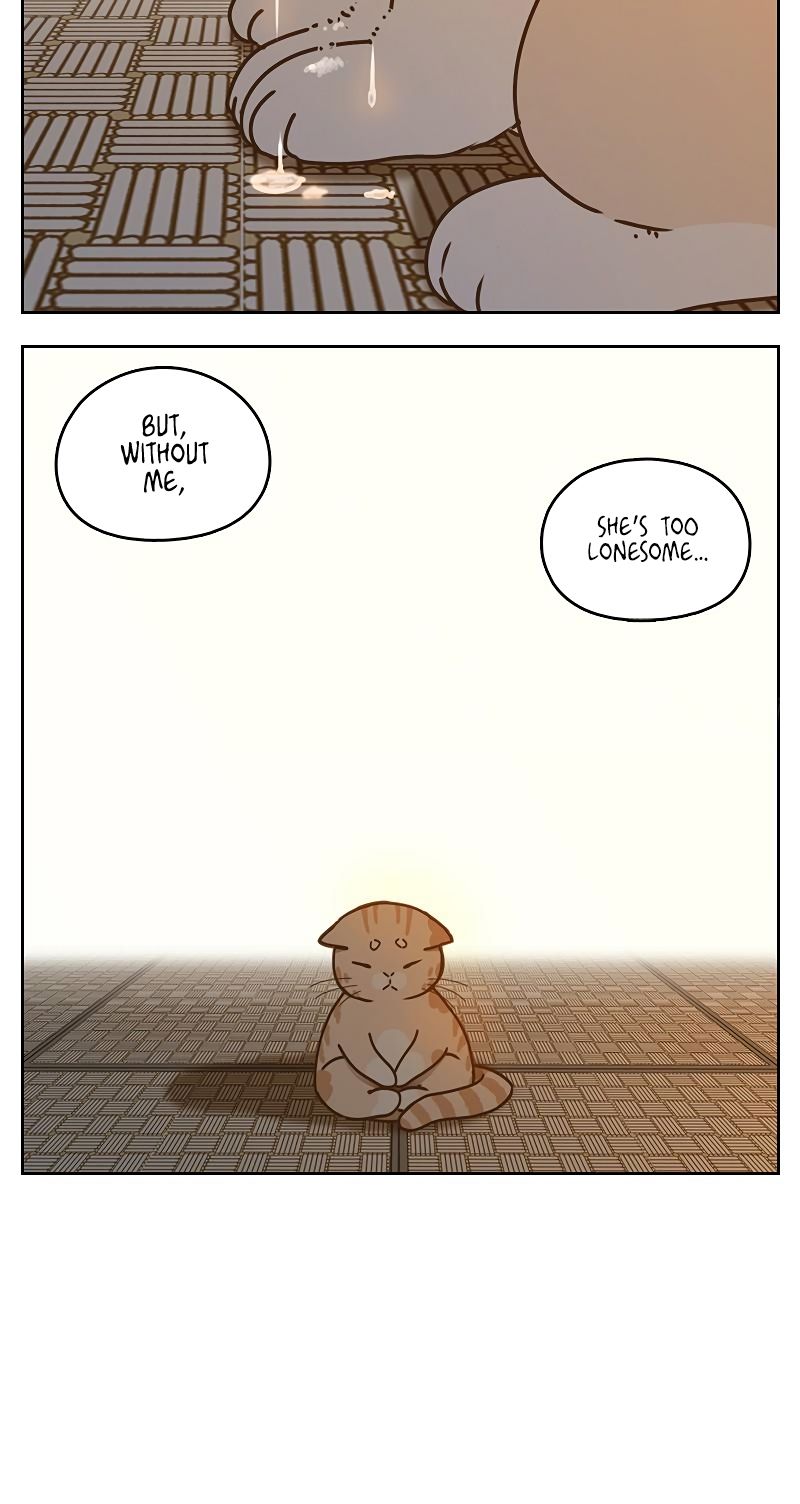 Page 15 of Chapter 41