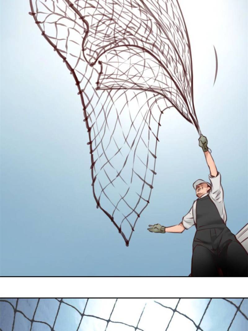 Page 46 of Chapter 106