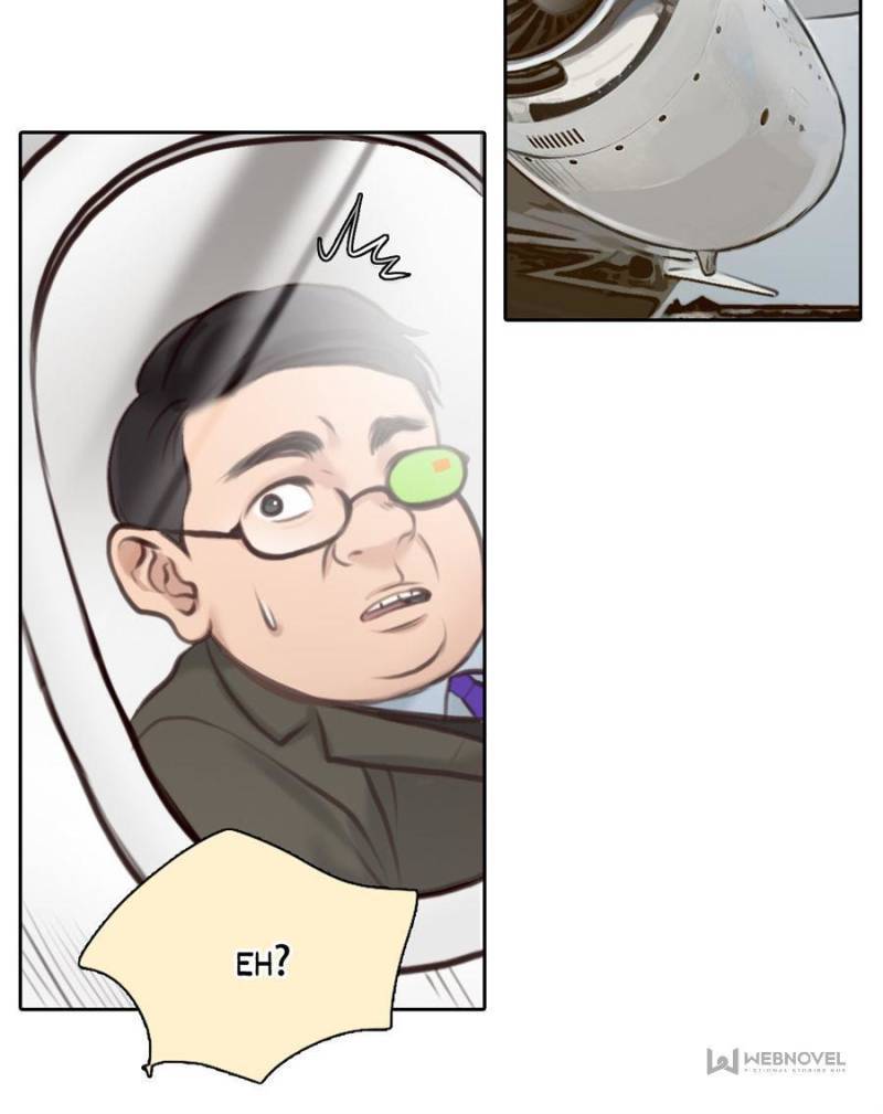 Page 43 of Chapter 117