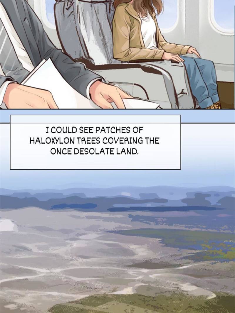 Page 3 of Chapter 132