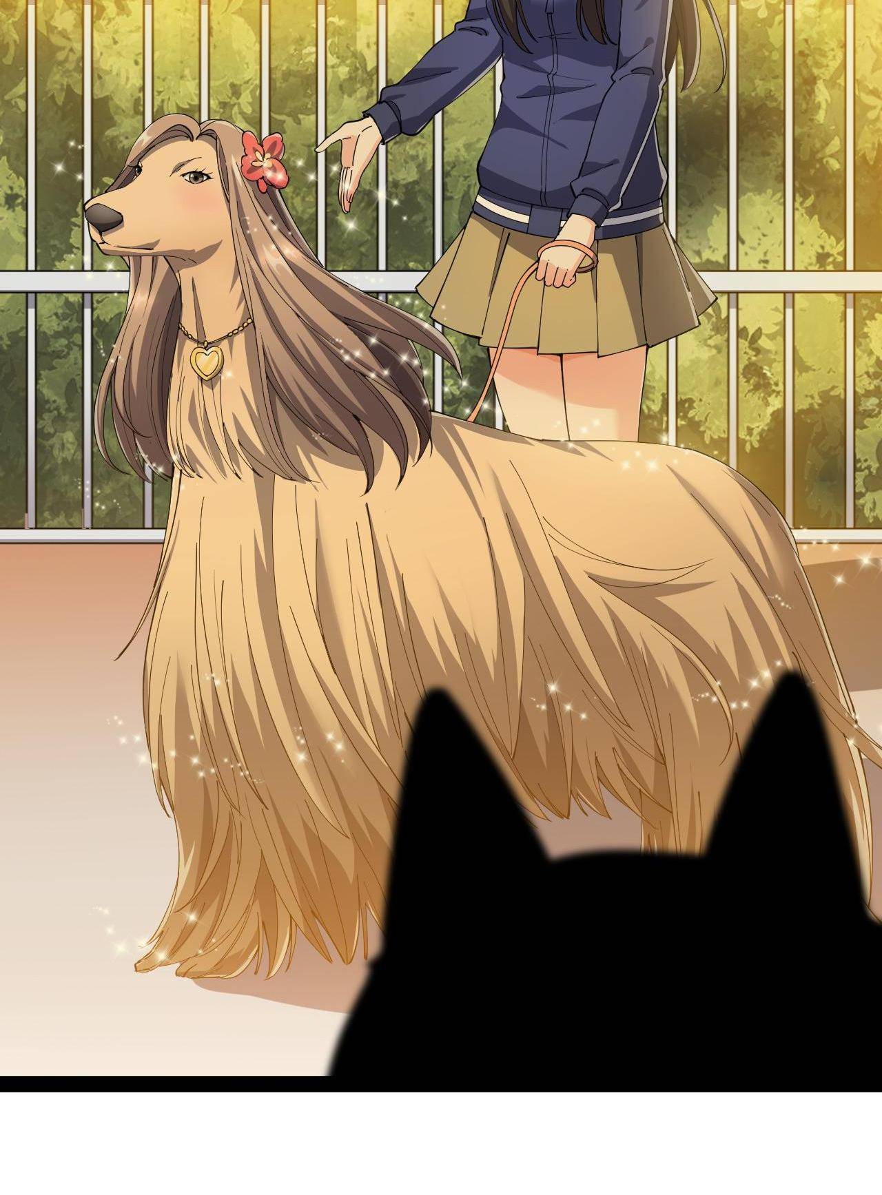 Page 27 of Chapter 114