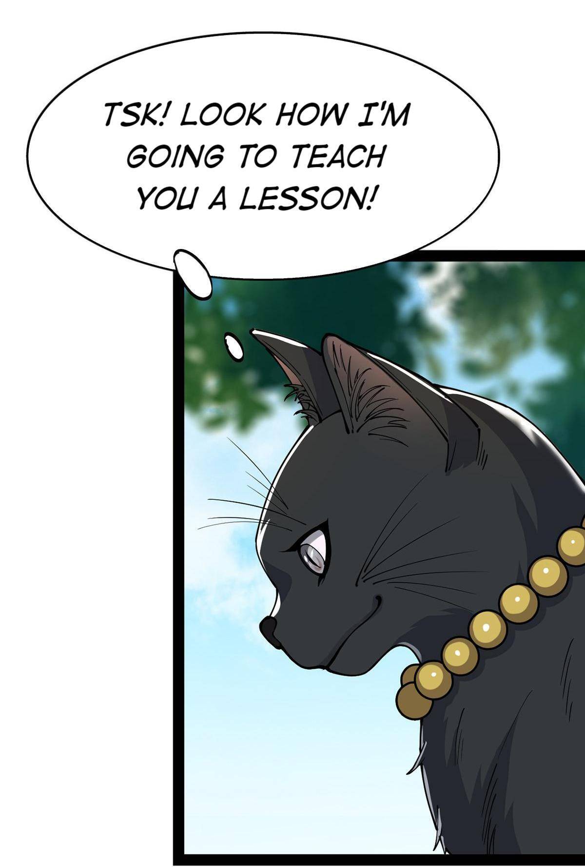 Page 19 of Chapter 33