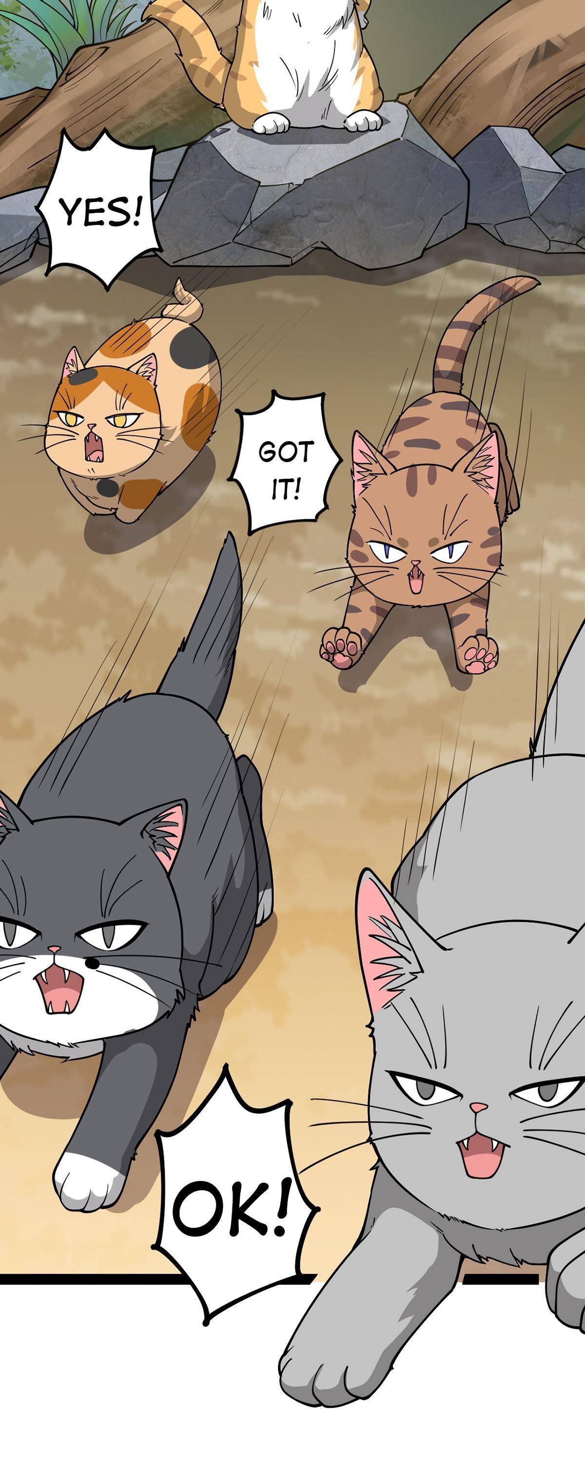 Page 13 of Chapter 35