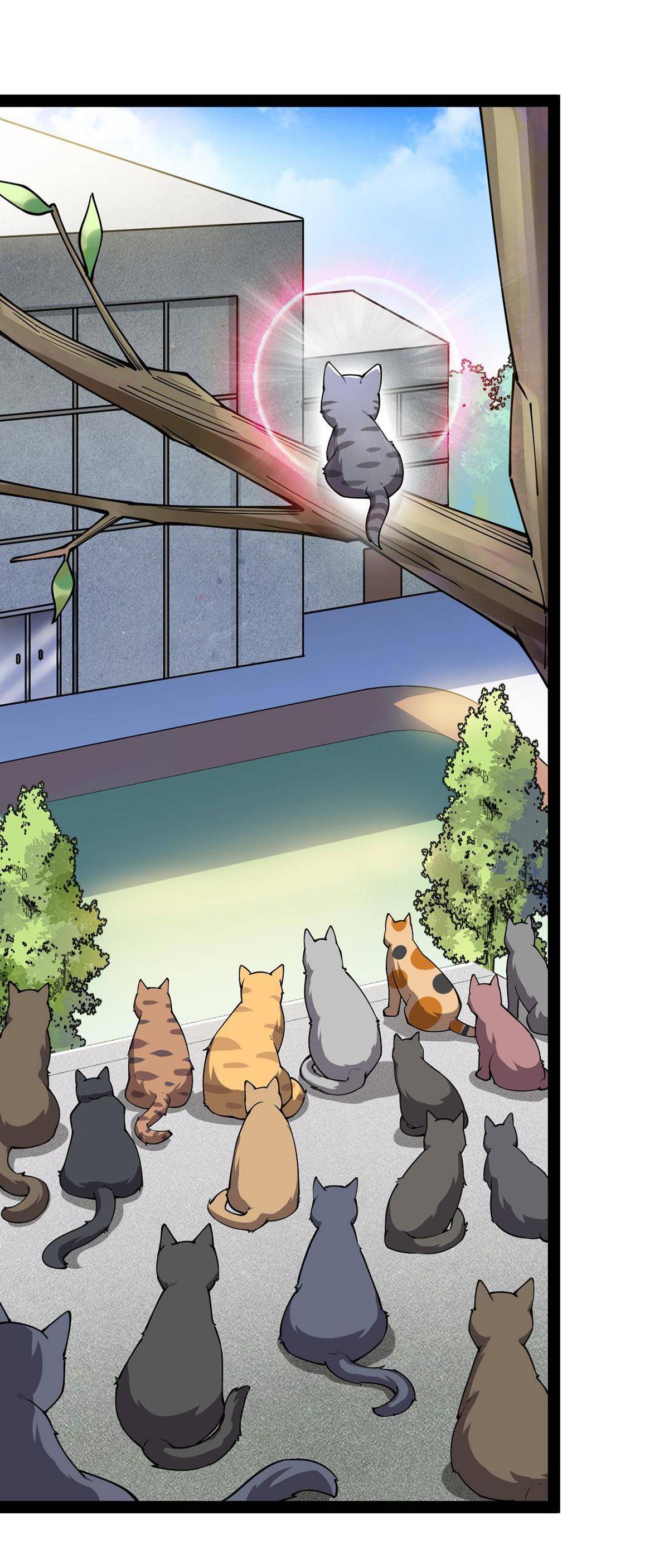 Page 37 of Chapter 35