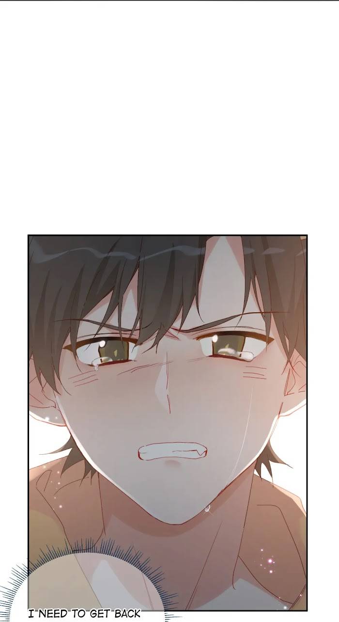 Page 52 of Chapter 33