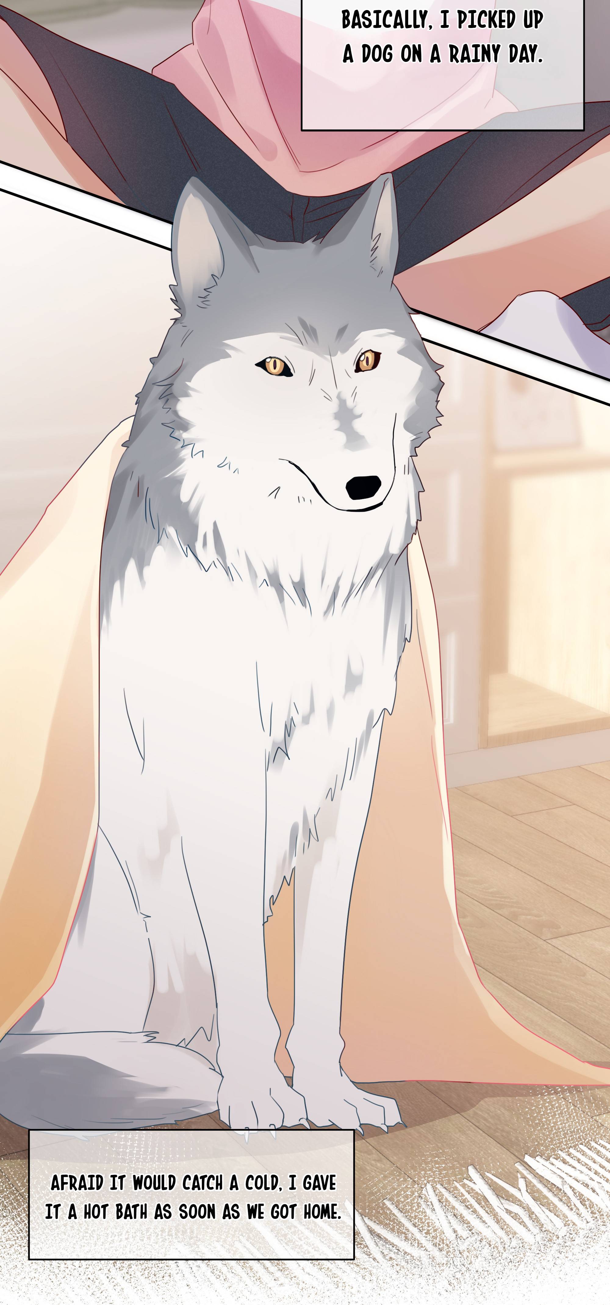 Page 4 of Chapter 40