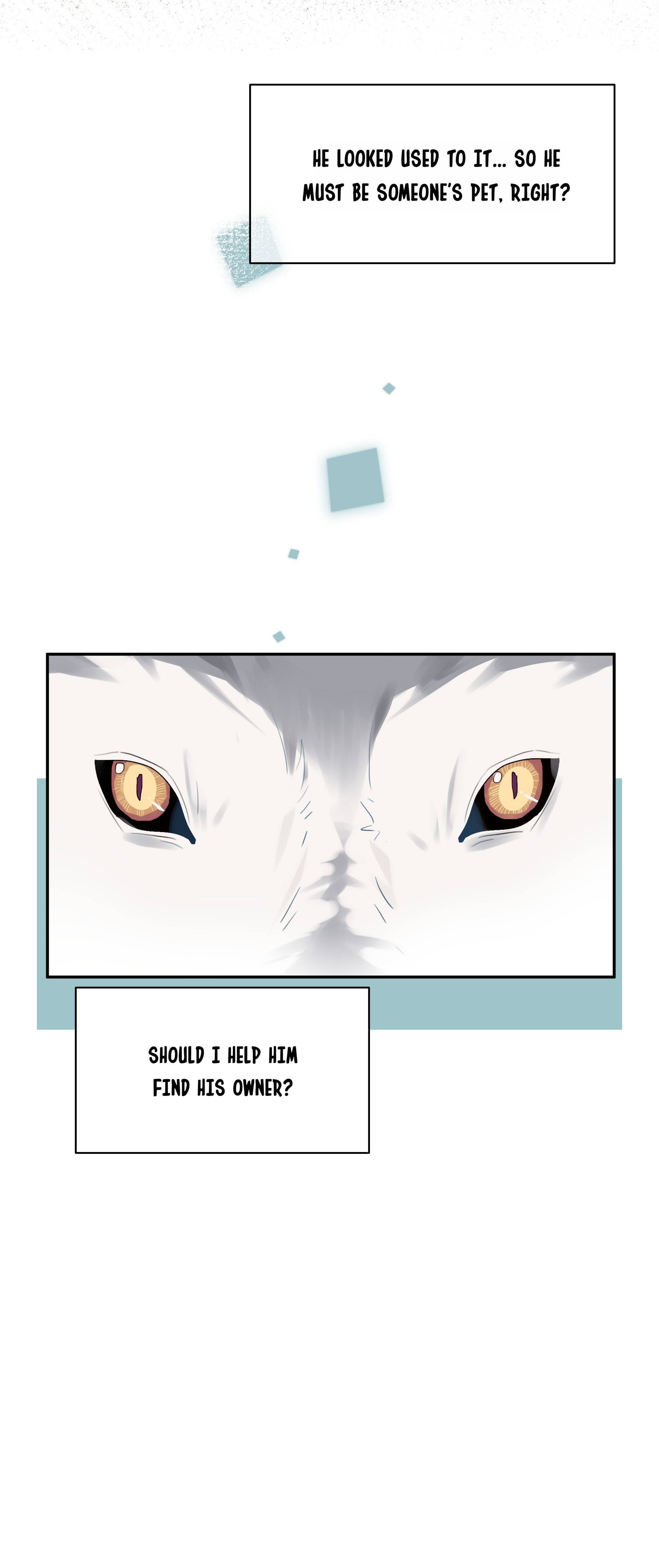 Page 5 of Chapter 40