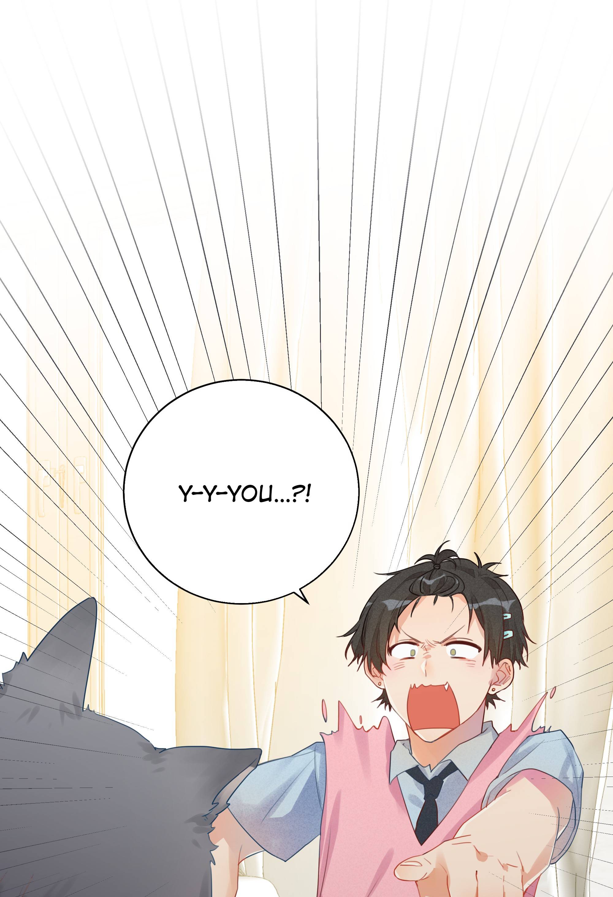 Page 14 of Chapter 40