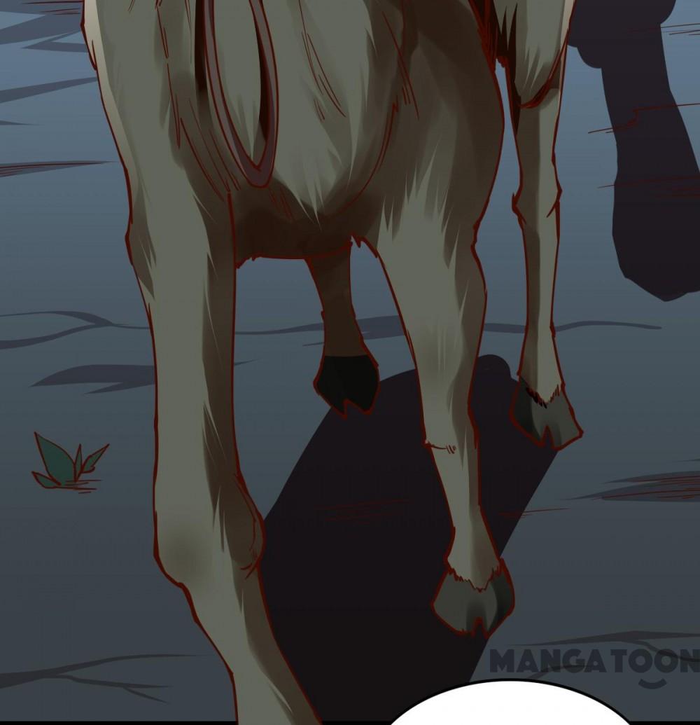 Page 13 of Chapter 161