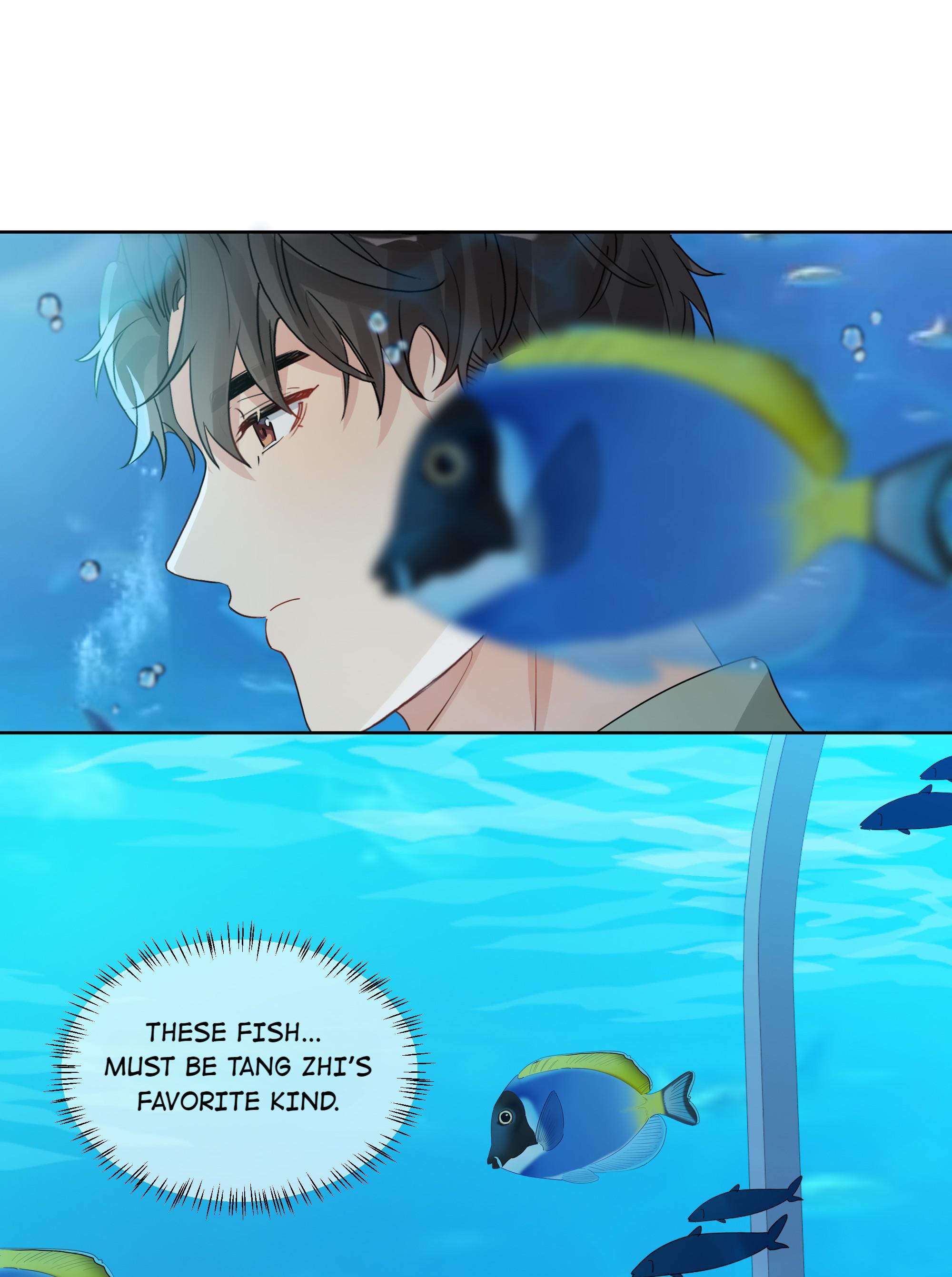 Page 4 of Chapter 41