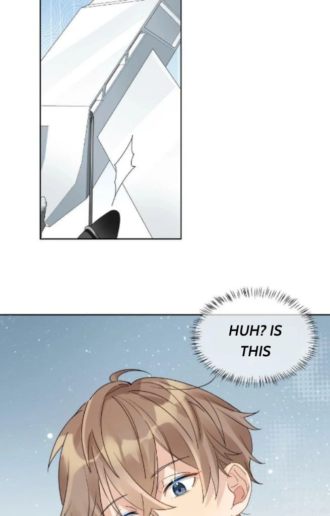 Page 31 of Chapter 81