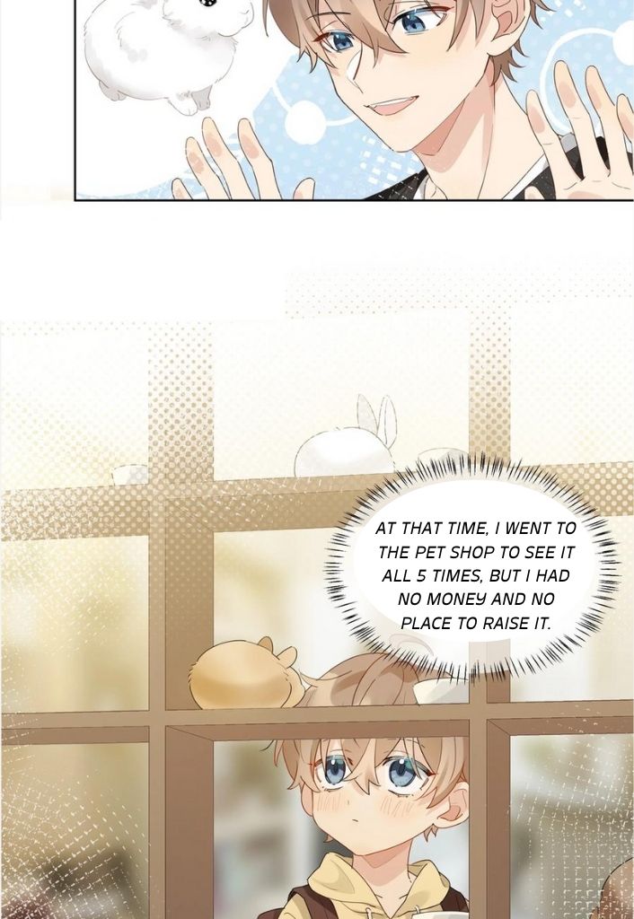 Page 13 of Chapter 85