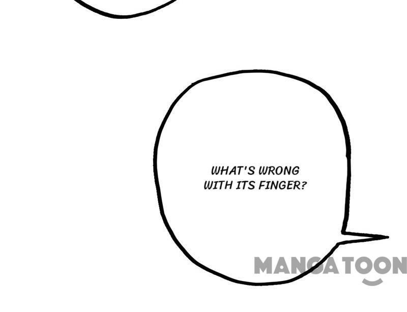 Page 15 of Chapter 81