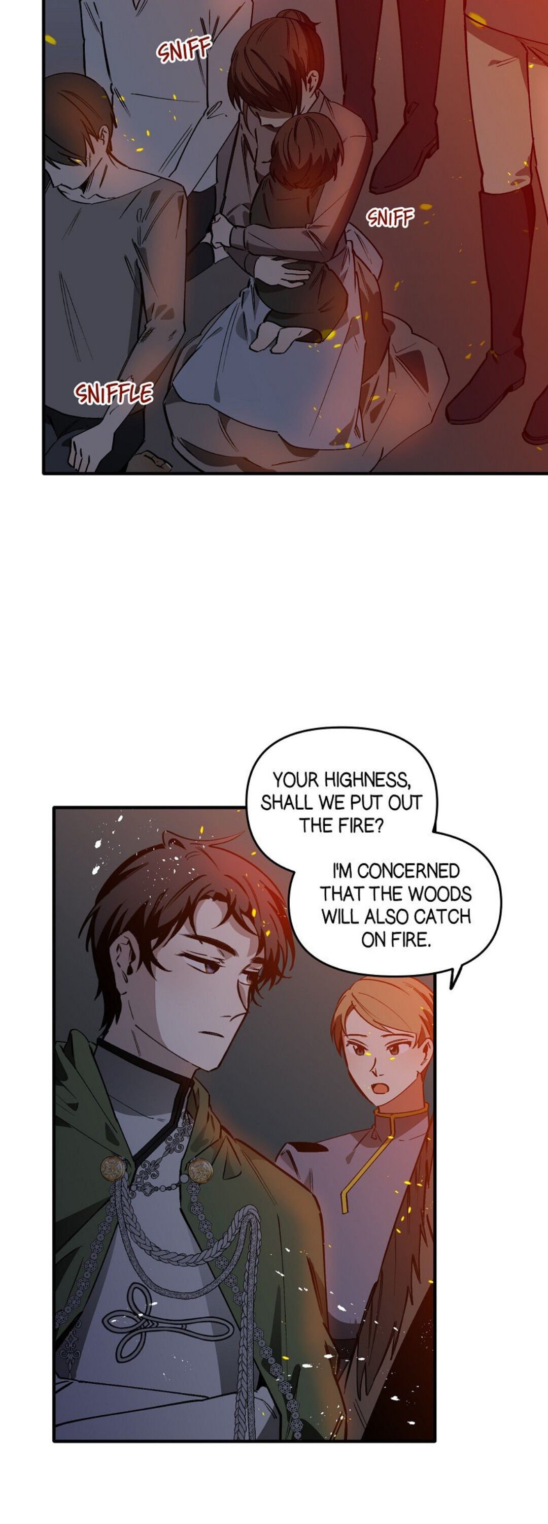 Page 13 of Chapter 39