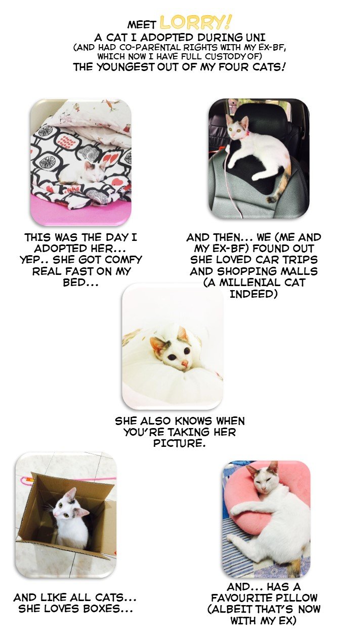 Page 3 of Chapter 18