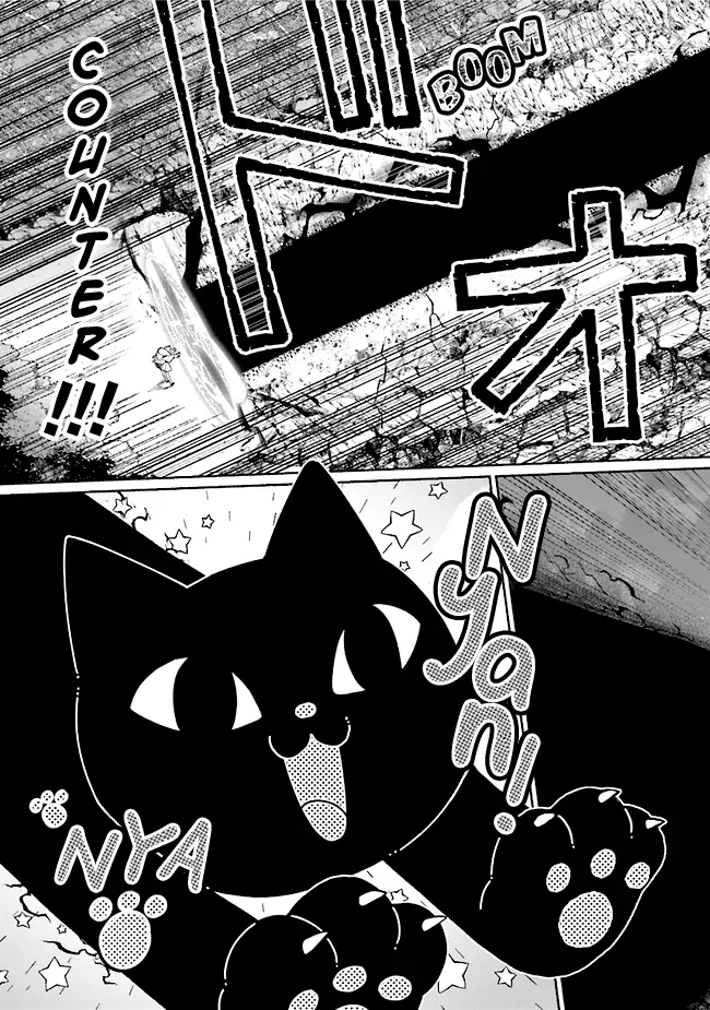 Page 26 of Chapter 17