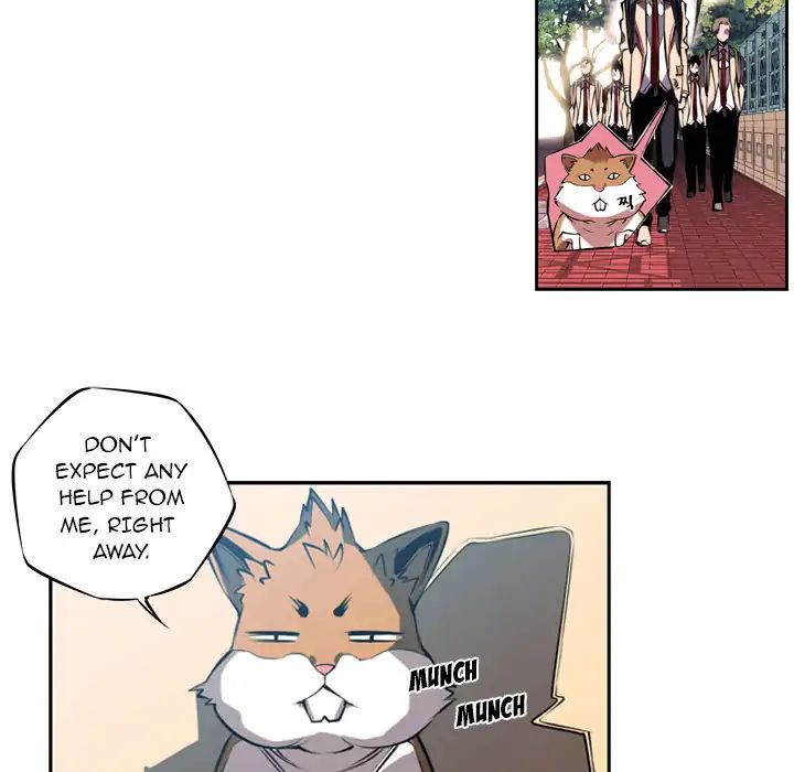 Page 19 of Chapter 3
