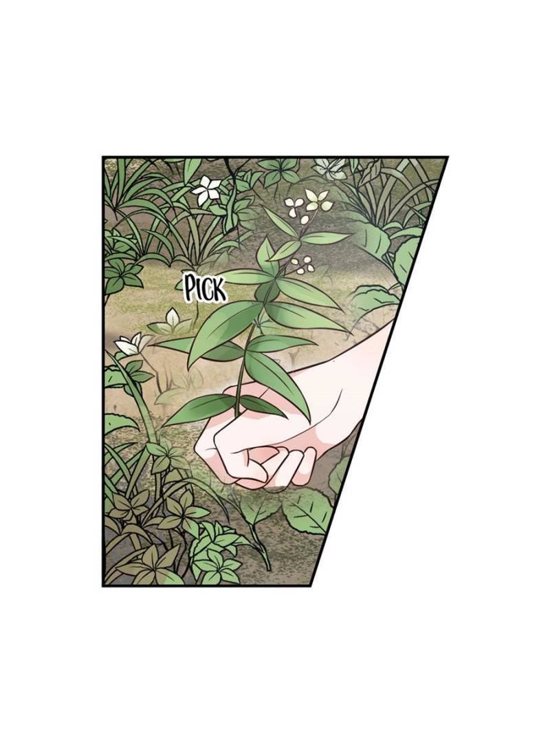 Page 38 of Chapter 11