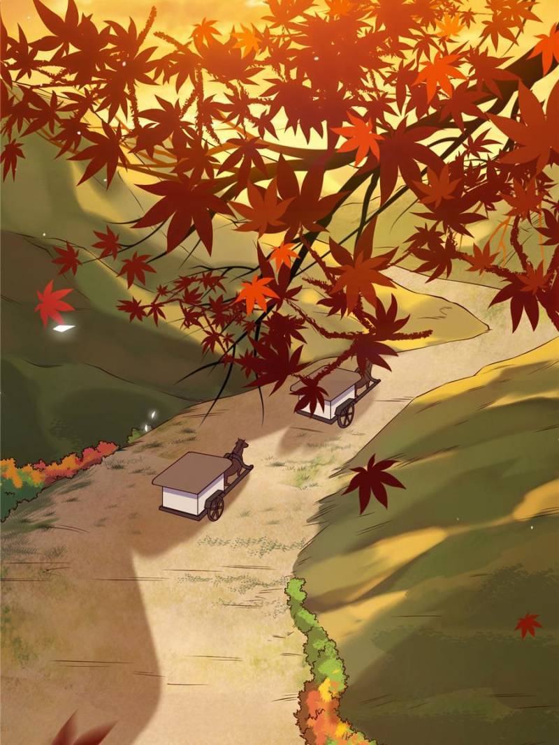 Page 46 of Chapter 74
