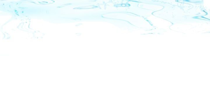 Page 27 of Chapter 41