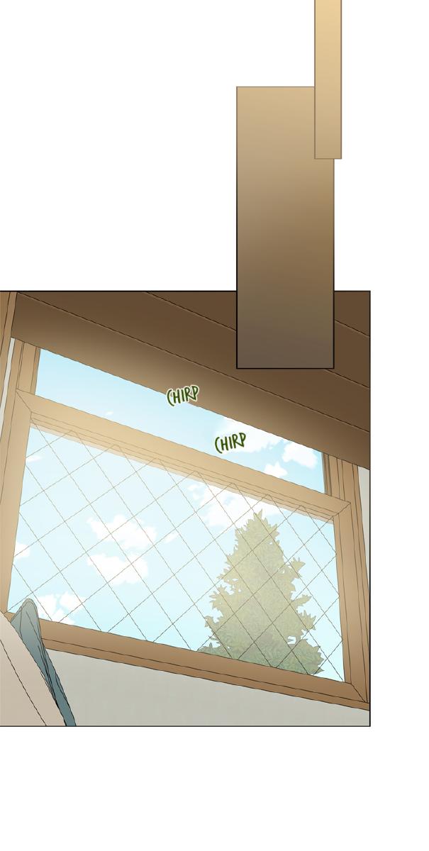 Page 39 of Chapter 66