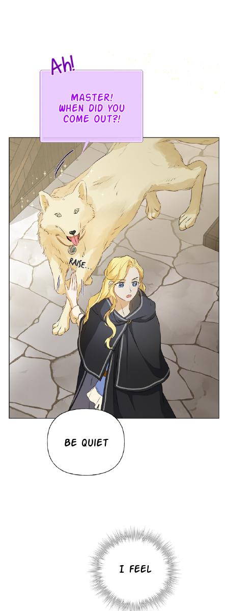 Page 54 of Chapter 66