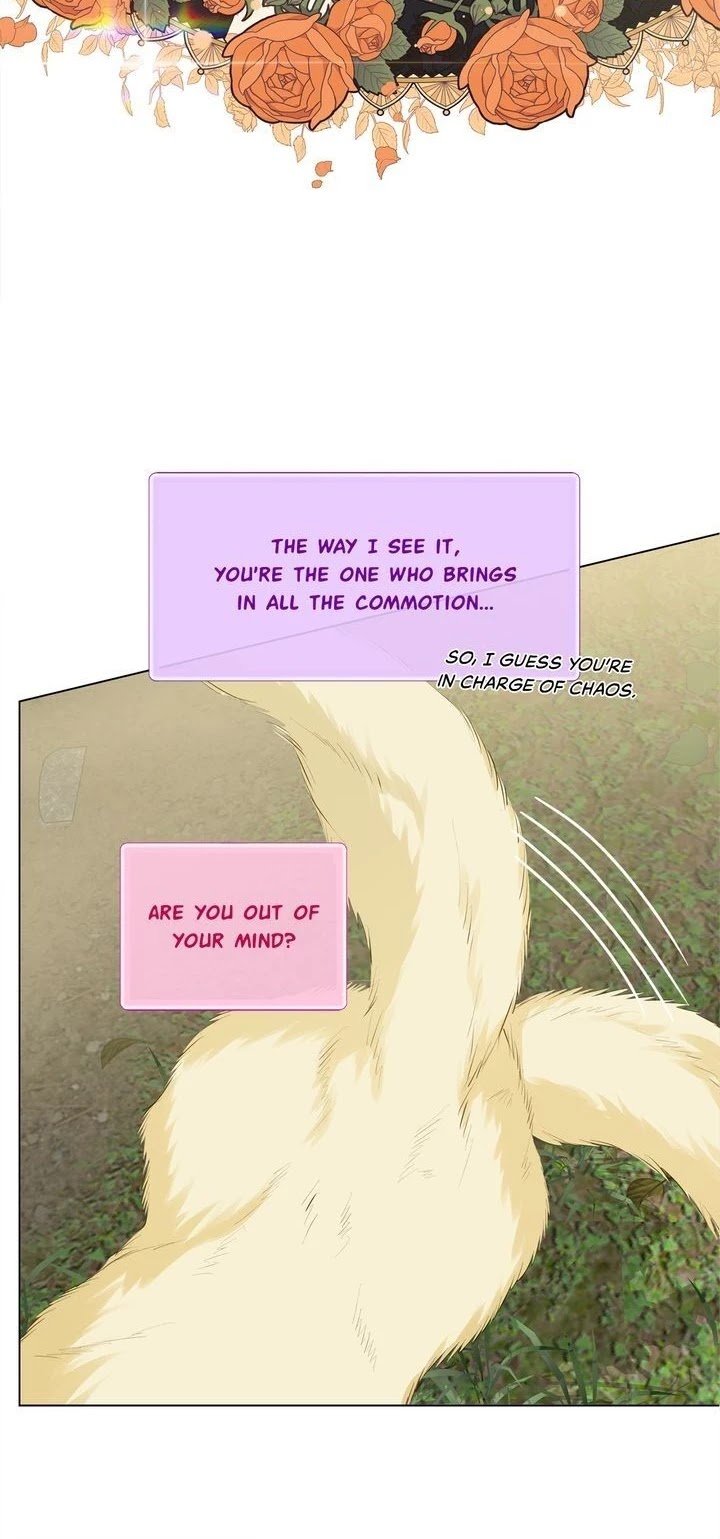 Page 24 of Chapter 74
