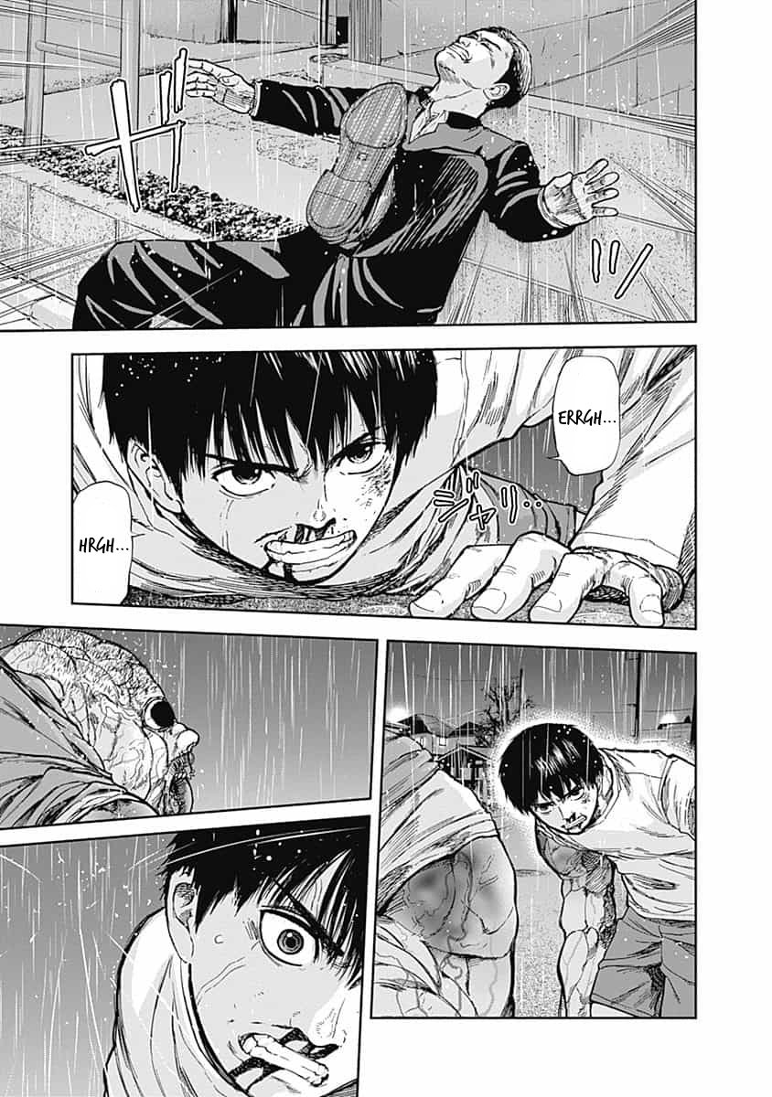 Page 5 of Chapter 12