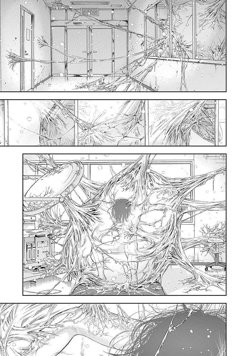 Page 5 of Chapter 48