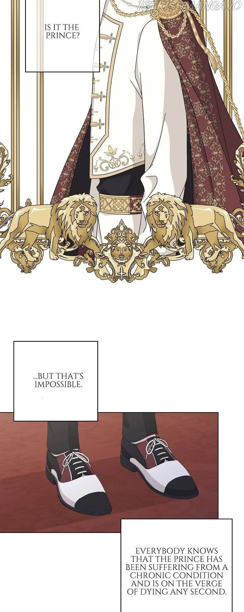 Page 29 of Chapter 17