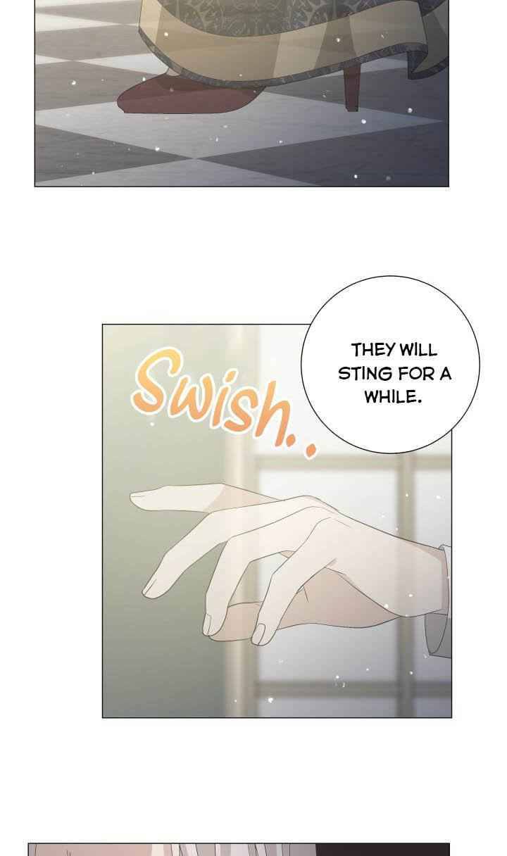 Page 52 of Chapter 2