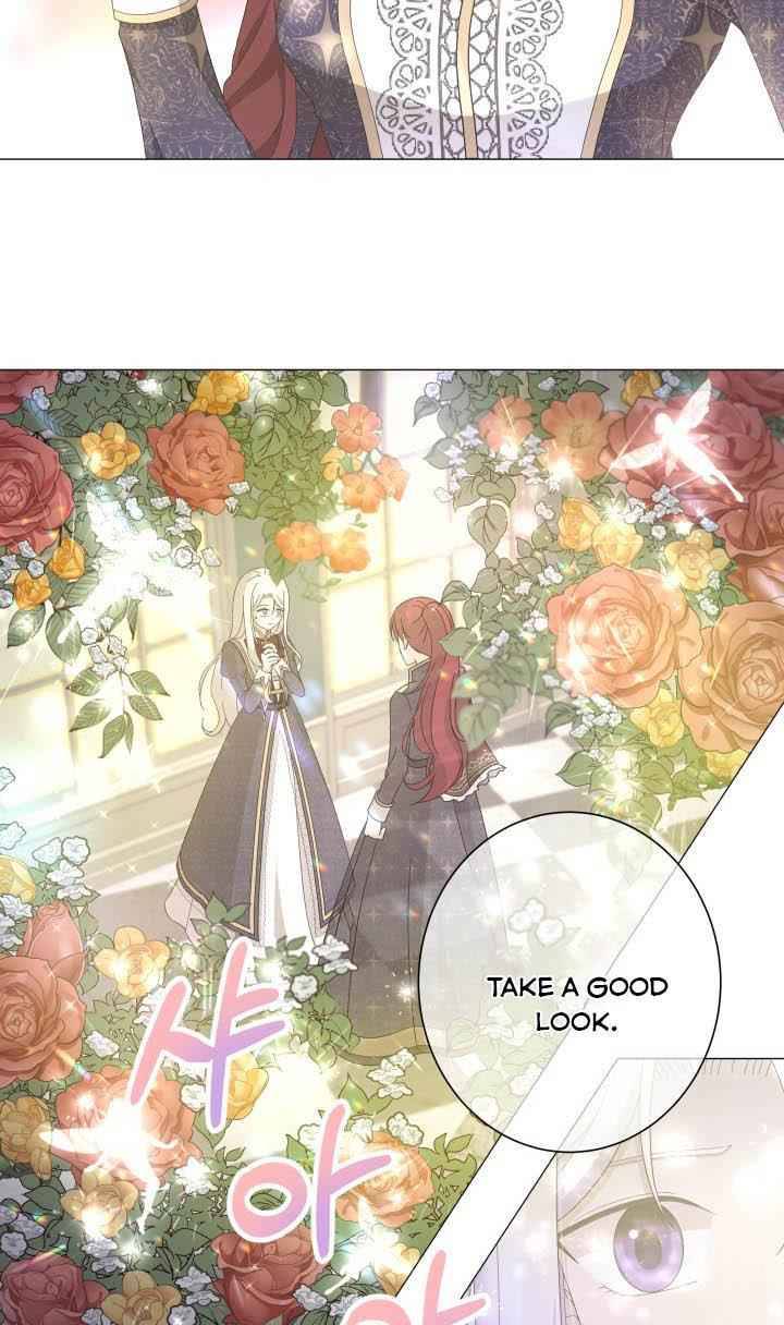 Page 55 of Chapter 2