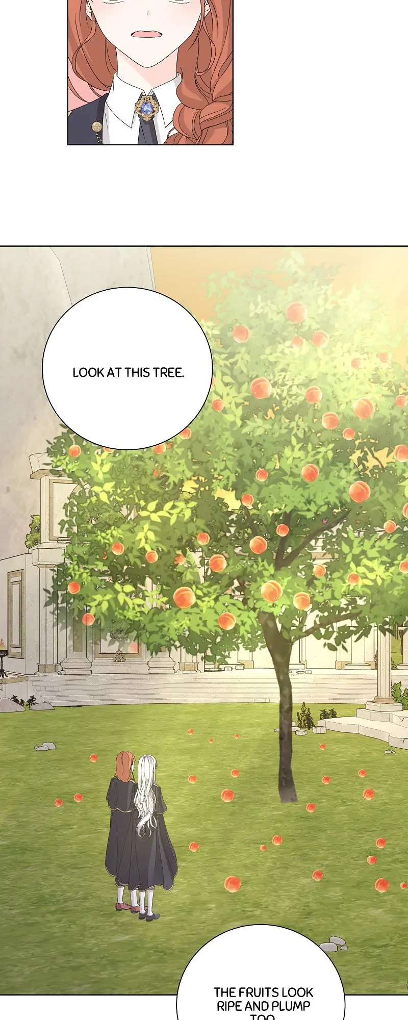 Page 6 of Chapter 35