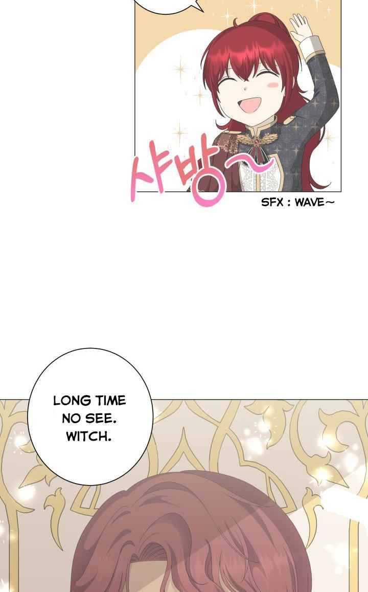Page 19 of Chapter 5