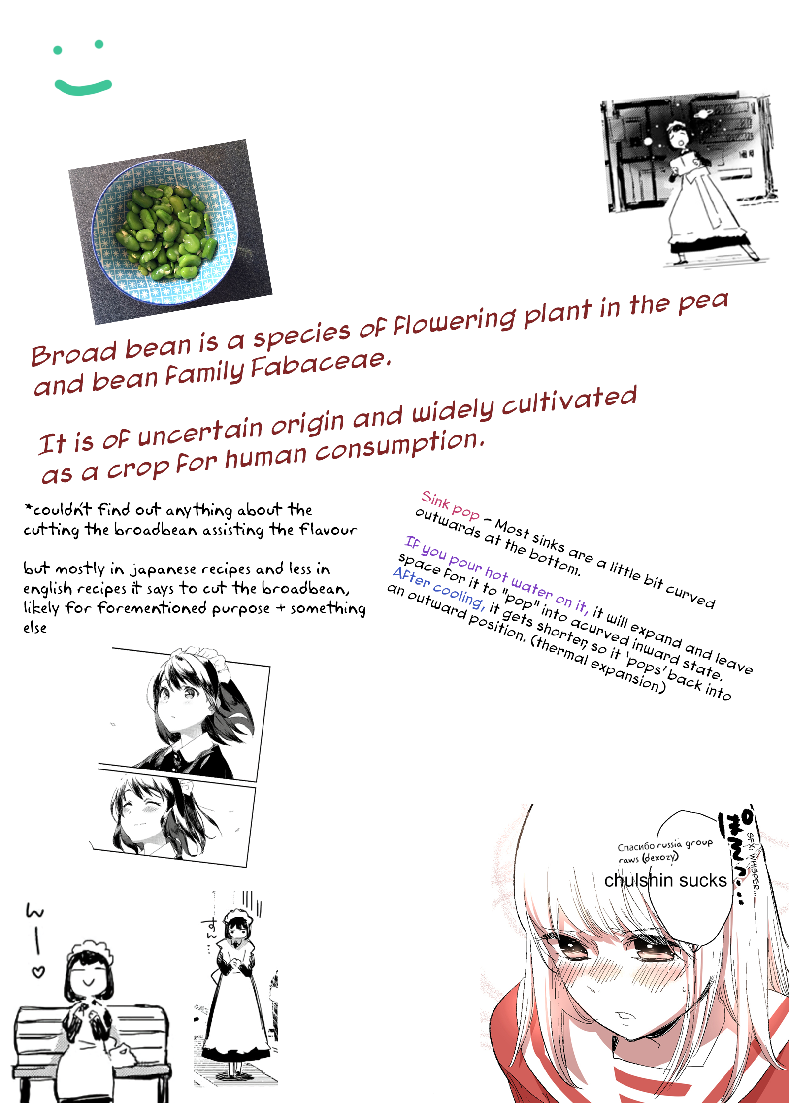 Page 17 of Chapter 13