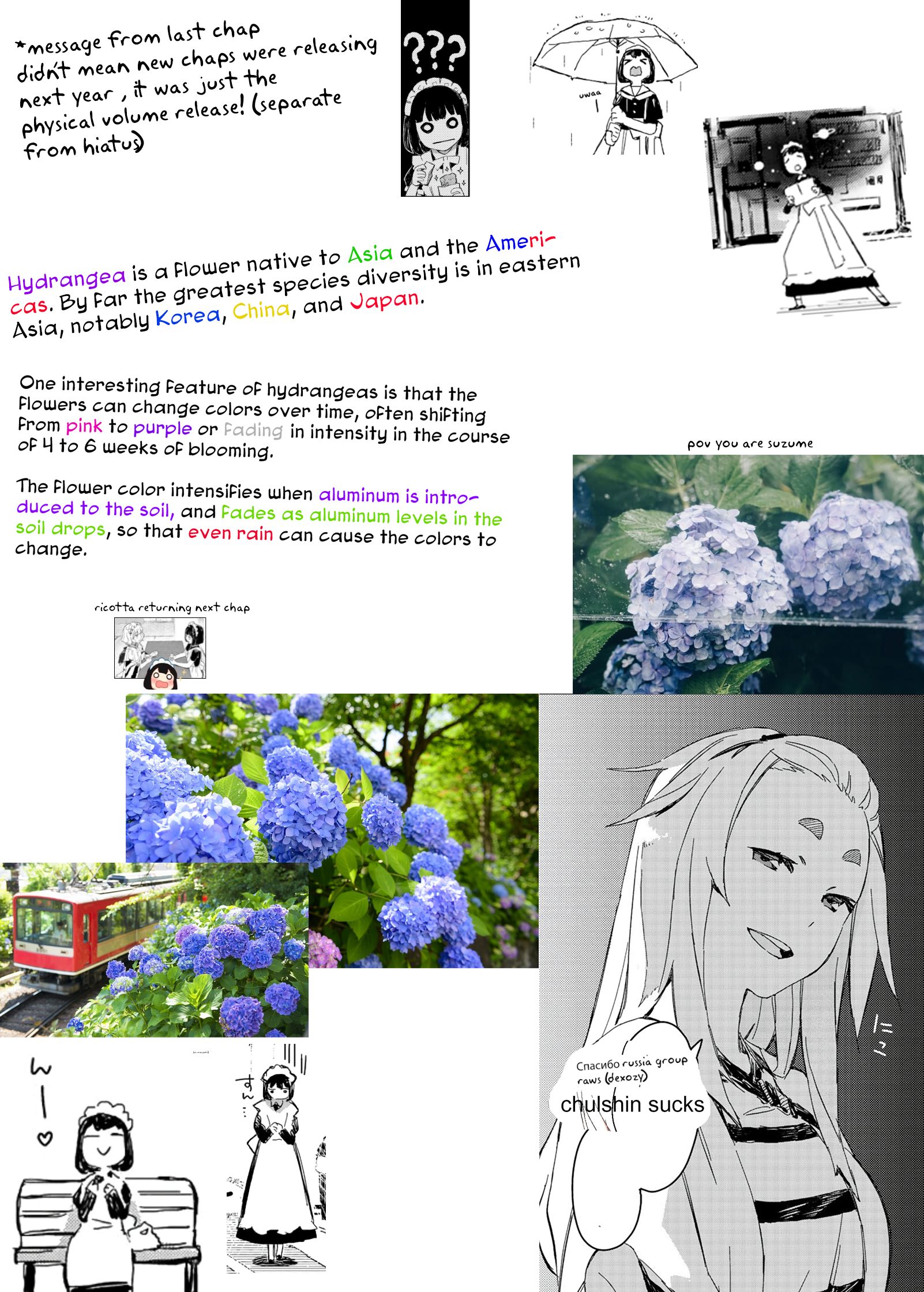 Page 13 of Chapter 21