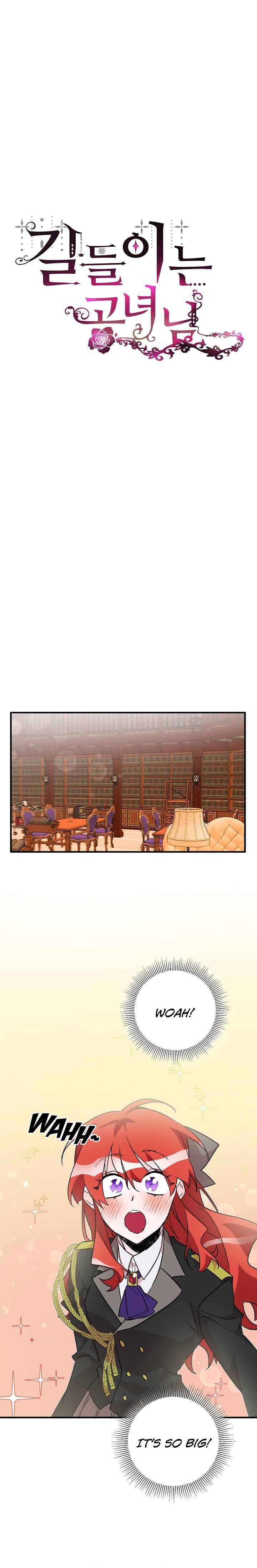 Page 11 of Chapter 19