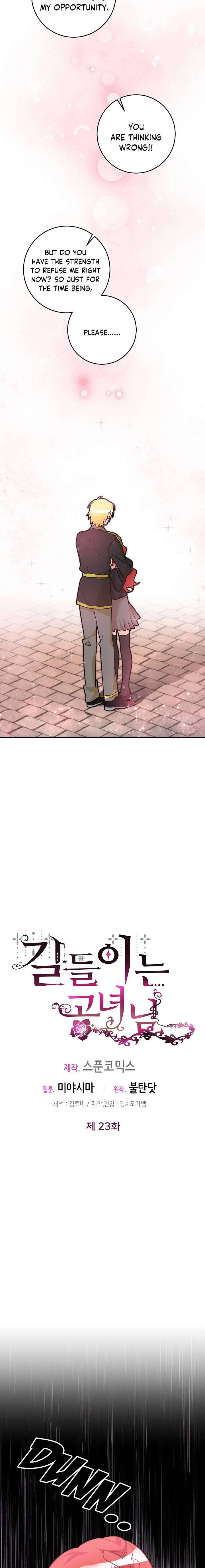 Page 17 of Chapter 23