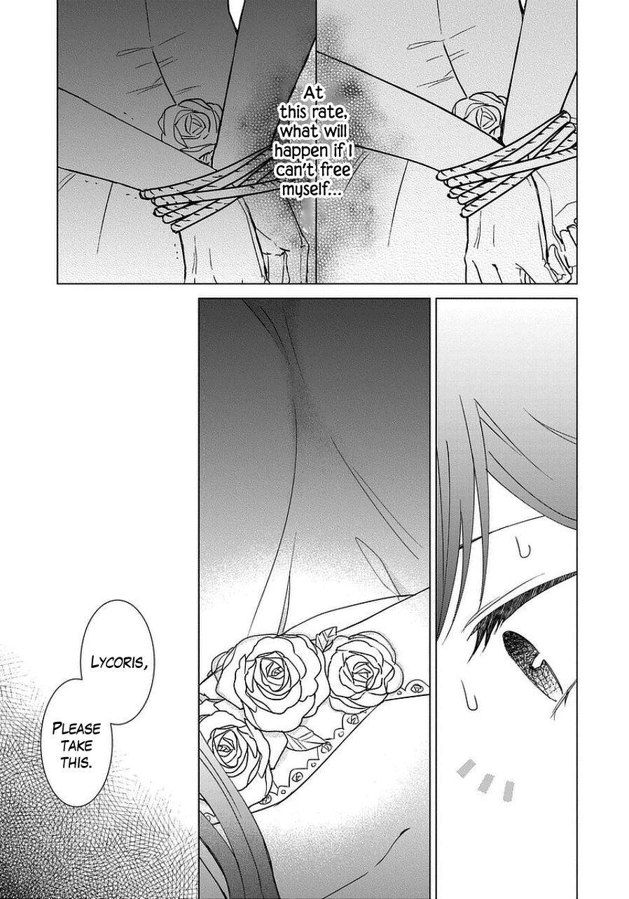 Page 17 of Chapter 42
