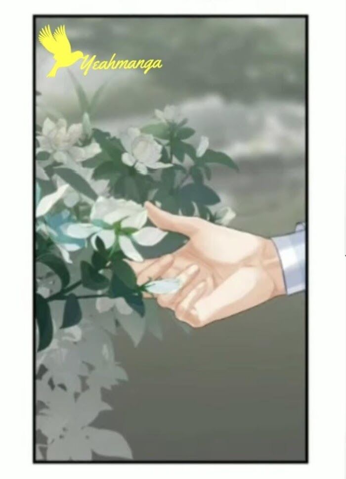 Page 4 of Chapter 176