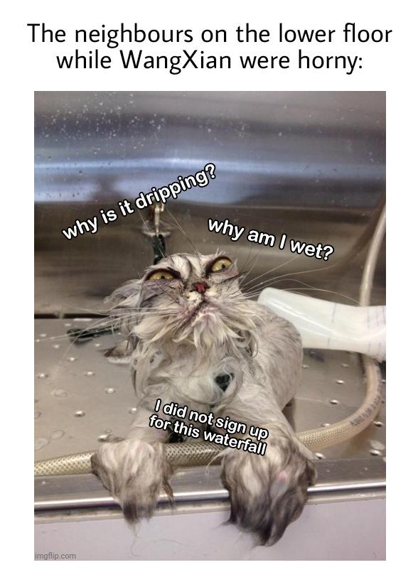 Page 28 of Chapter 233