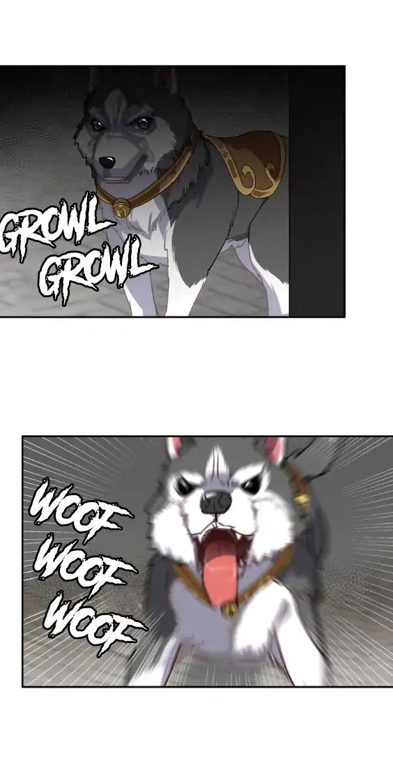 Page 20 of Chapter 48