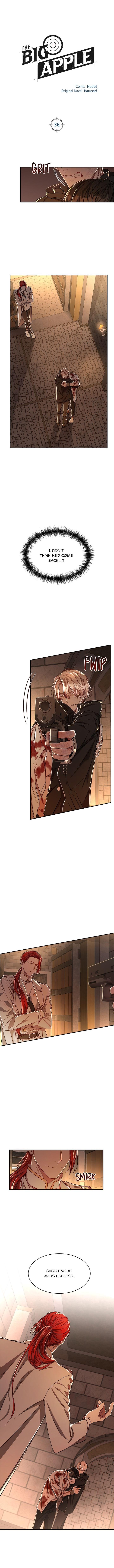 Page 4 of Chapter 36