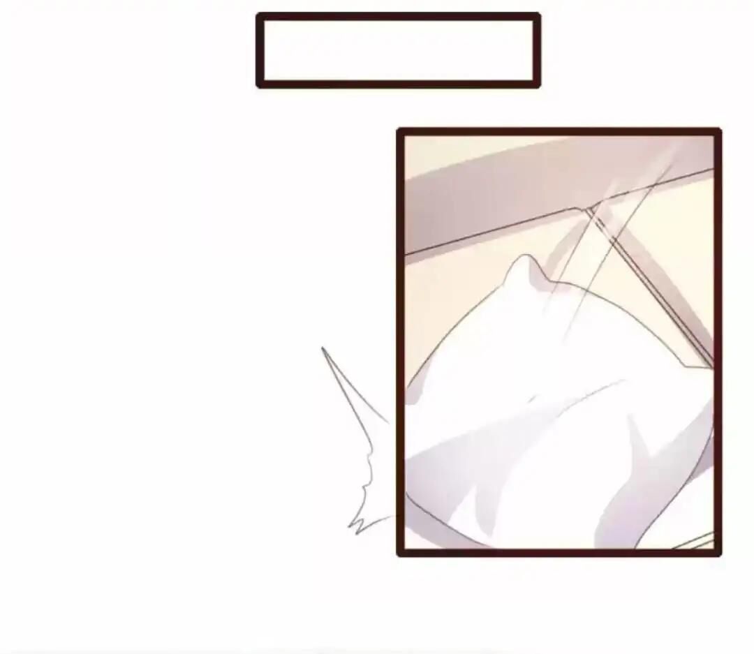 Page 41 of Chapter 79
